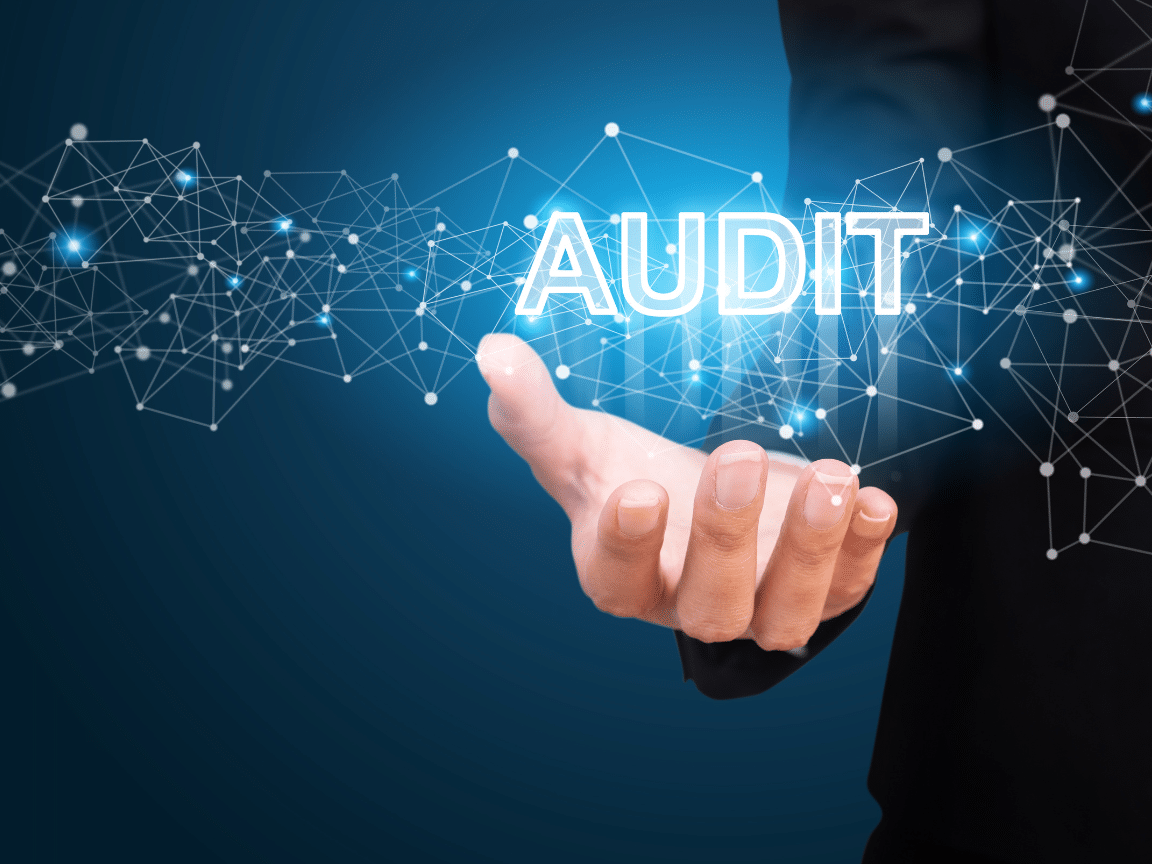 IT Security Auditing Services